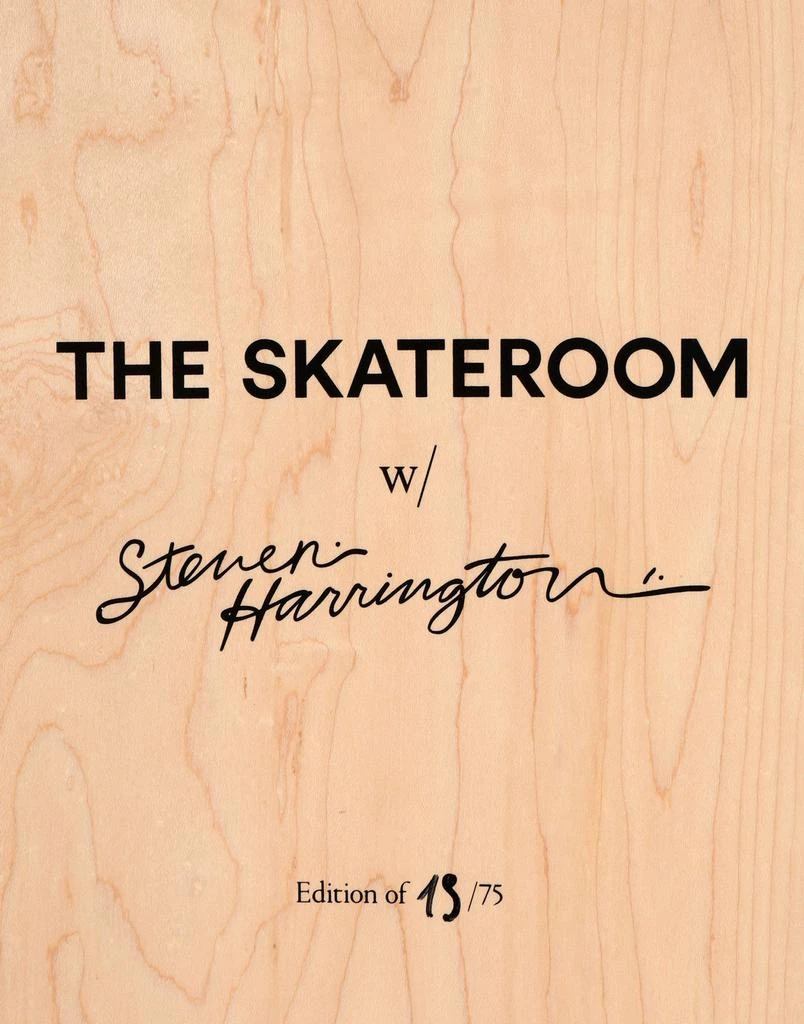 The Skateroom Art object 5