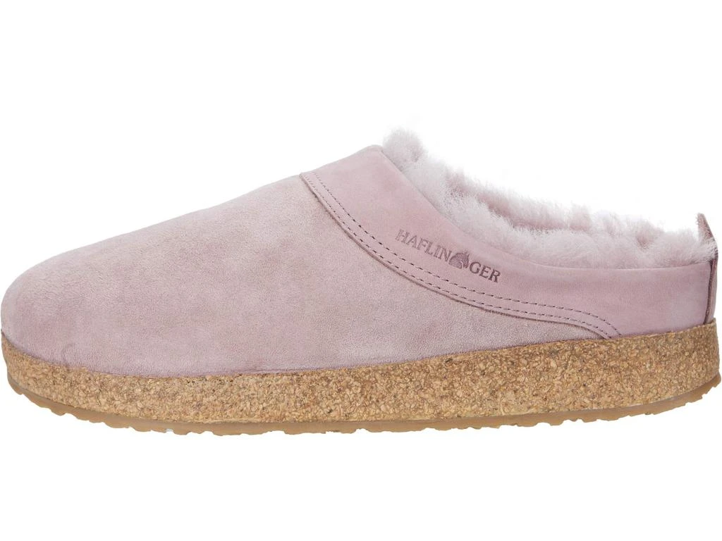 Haflinger Snowbird 4