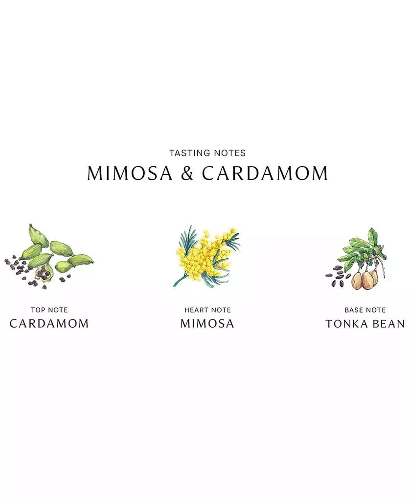 Jo Malone London Mimosa & Cardamom Cologne, 3.4-oz. 3