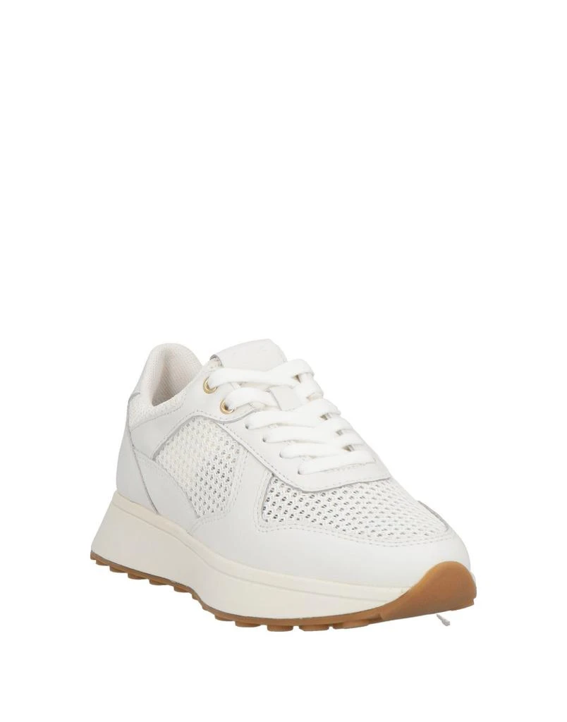 Geox Sneakers 2