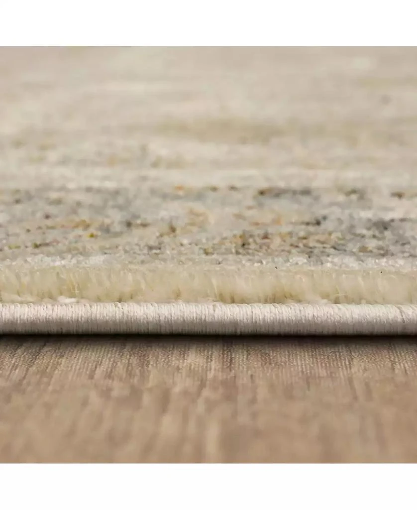 Karastan Divina Celestial 2'6" x 7'10" Runner Area Rug 3