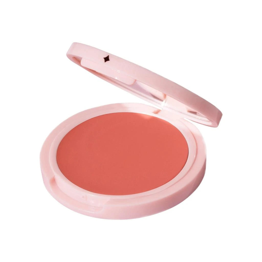 Jillian Dempsey Cheek Tint 1