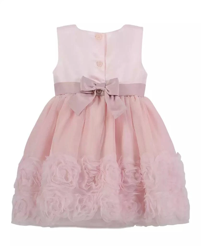 Blueberi Boulevard Baby Girls Fit-and-Flare Embroidered Dress with Rosettes 2