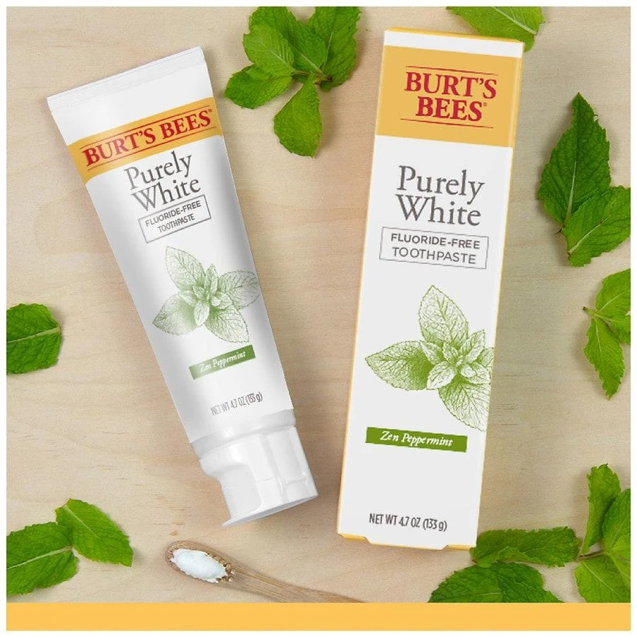 Burt's Bees Toothpaste, Natural Flavor, Fluoride-Free, Purely White Zen Peppermint 7