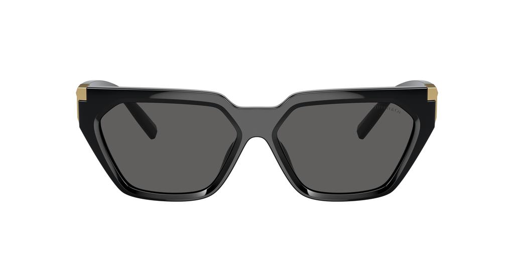 Tiffany & Co. Tiffany & Co. Woman Sunglass TF4205U