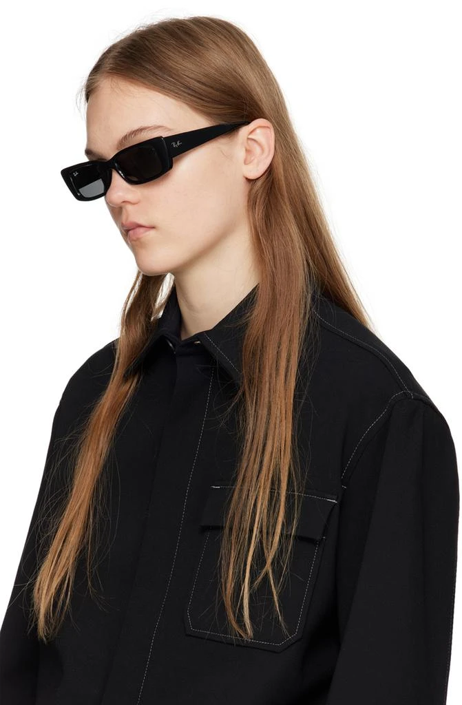 Ray-Ban Black Teru Sunglasses 4