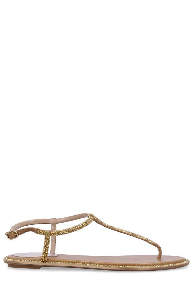 Rene Caovilla René Caovilla Diana Embellished Thong Sandals