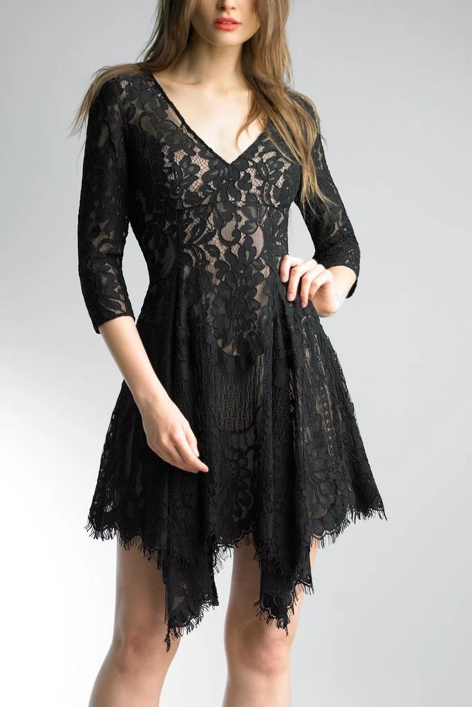 Basix Black Label Lace Cocktail Dress 3