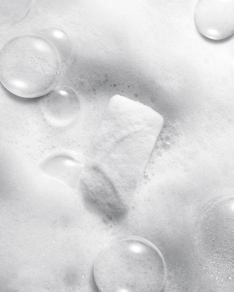 Iles Formula Hair + Body Cleanse with Body Sponge 5