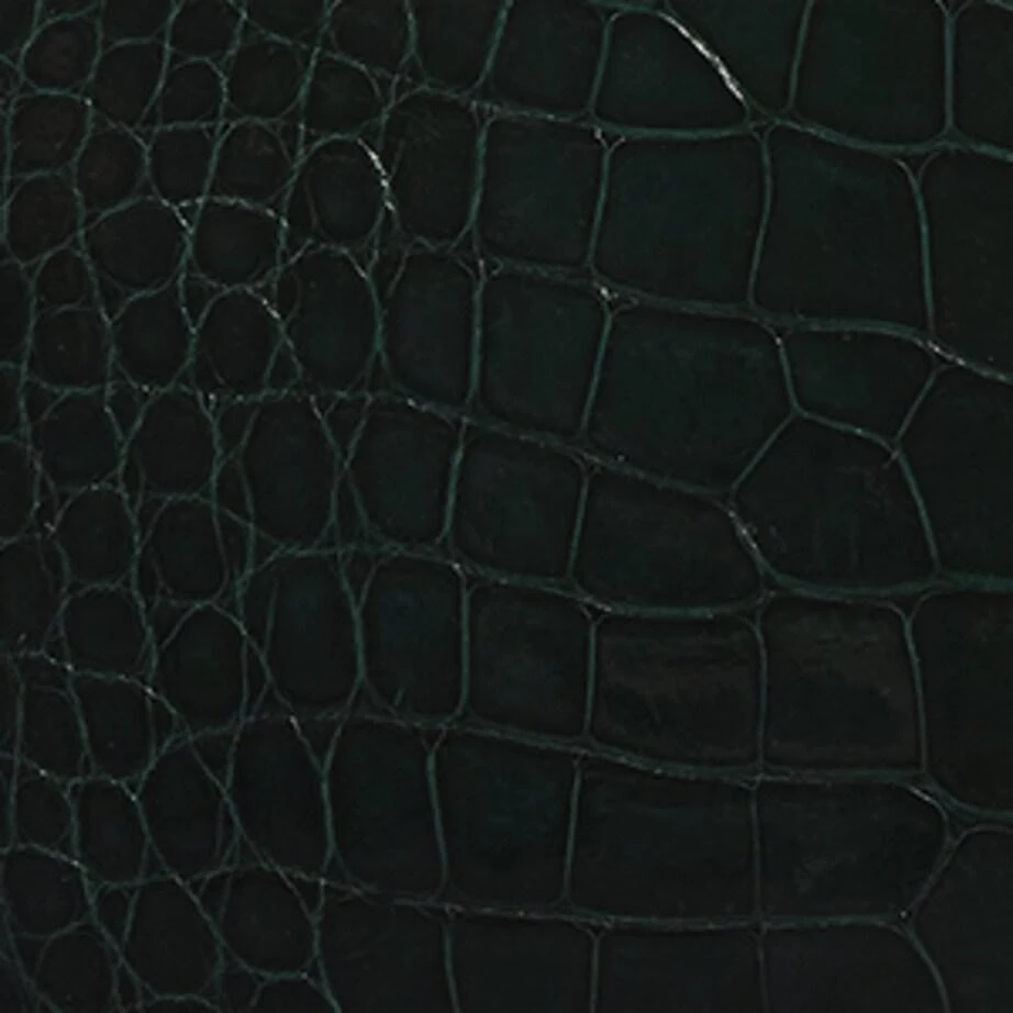 Ethan K Crocodile Leather Clutch Bag 7