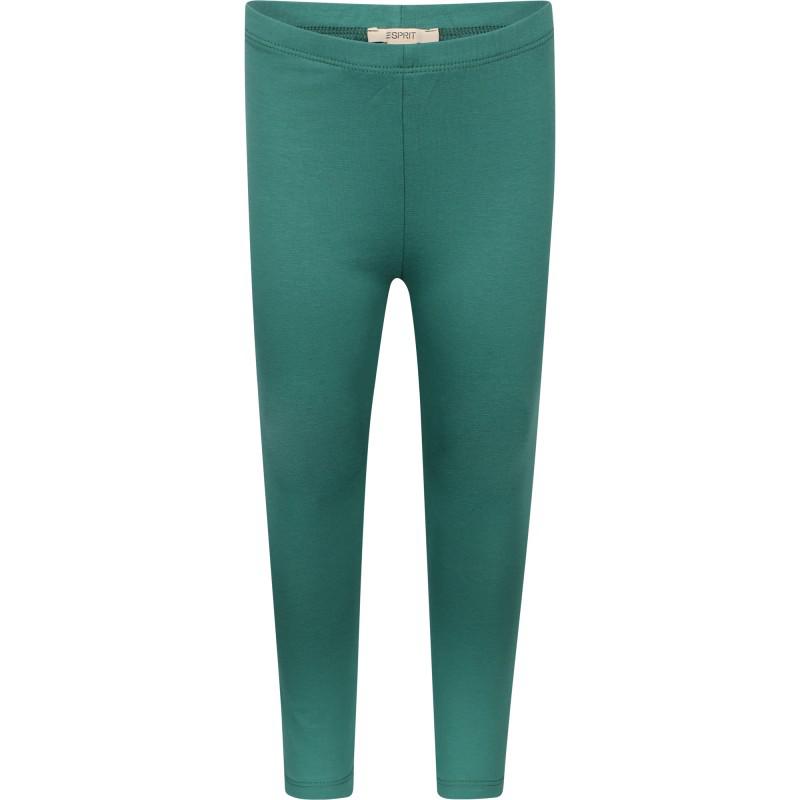 Esprit Cotton leggings in green