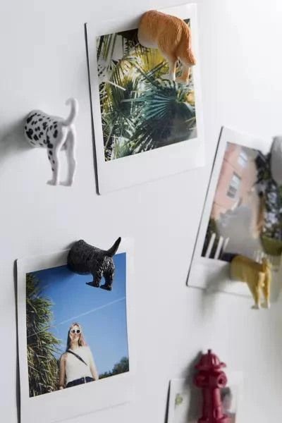 Urban Outfitters Animal Butt Magnet Set 2