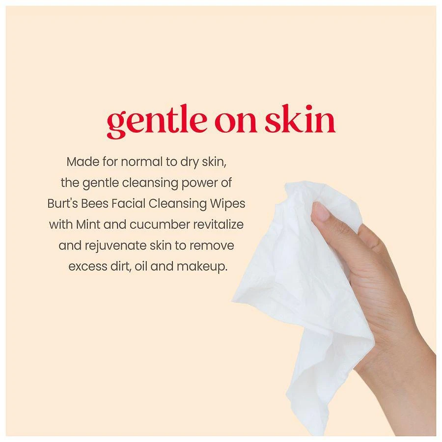 Burt's Bees Refreshing Facial Towelettes Cucumber and Mint 5