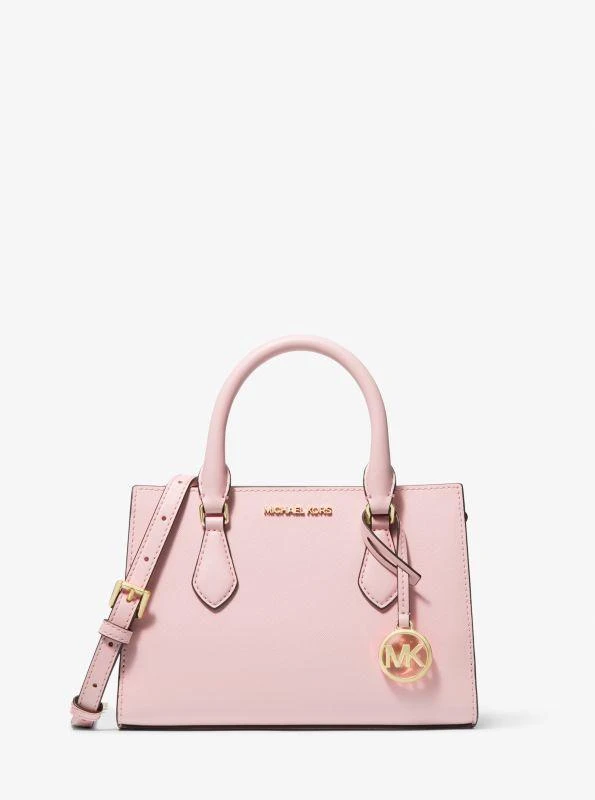 Michael Kors Sheila Small Satchel 1