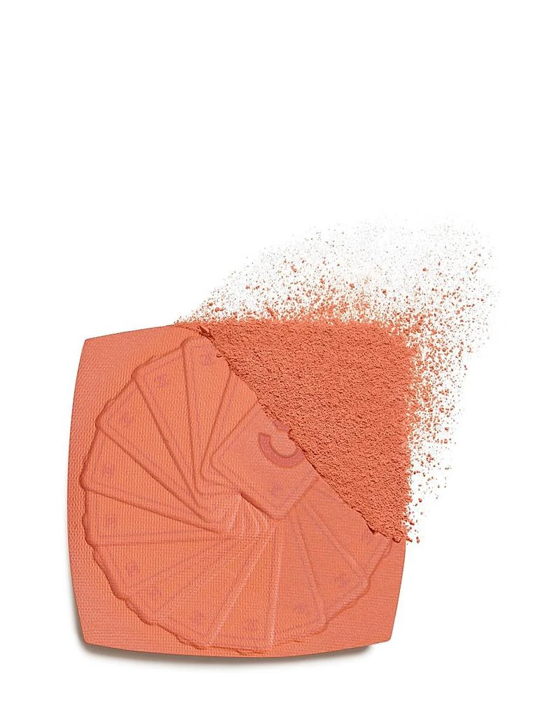 Chanel Powder Blush 2