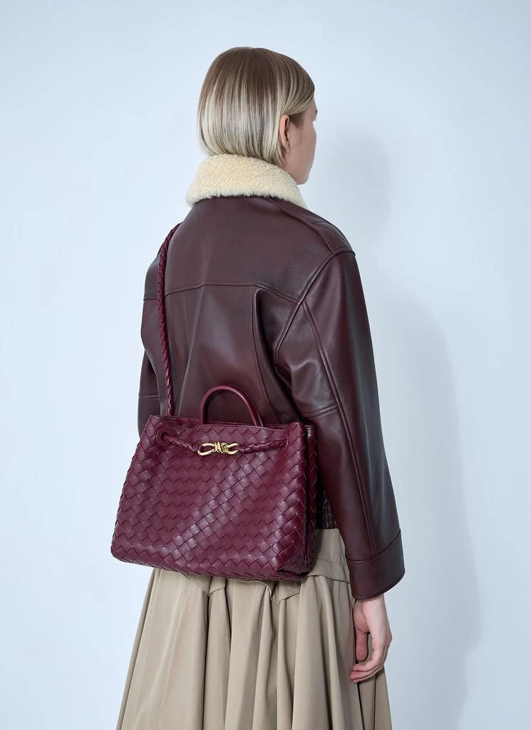 Bottega Veneta Medium Andiamo Handbag 2