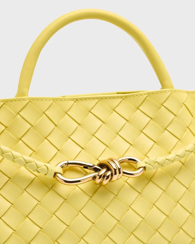 Bottega Veneta Small East-West Andiamo Bag 6