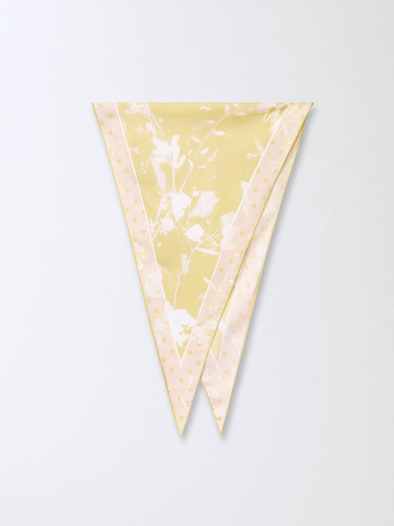 Fabiana Filippi Fabiana Filippi Scarf With Micro Sequins