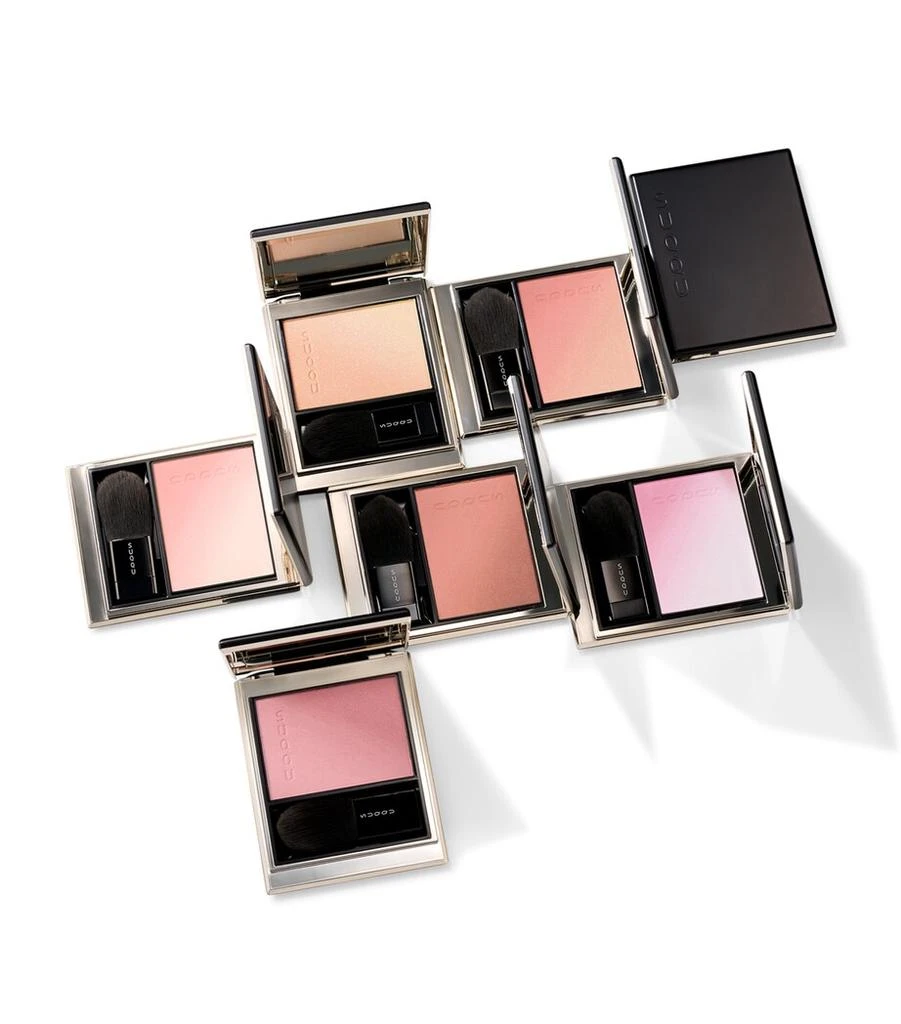 Suqqu Blurring Color Blush 3