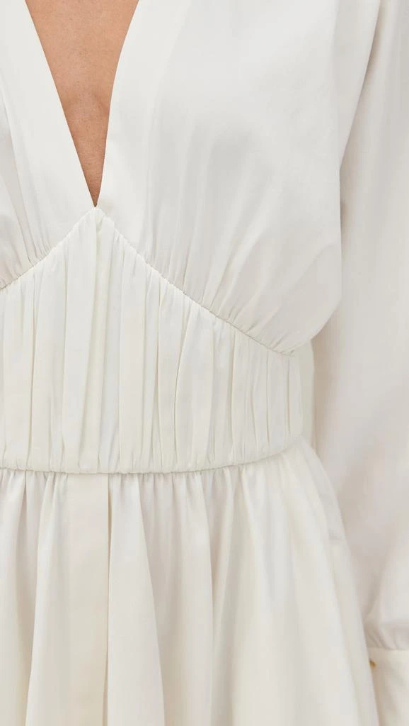Alexis Viro Dress 5