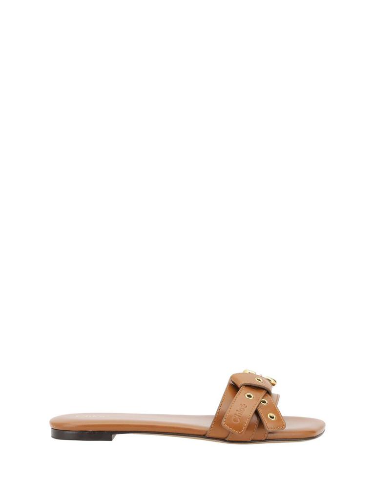 【Chloe】MAE SLIDE◆CHC25S08NQJ Chloé Mae slide sandals for Women - Brown in UAE | Level Shoes