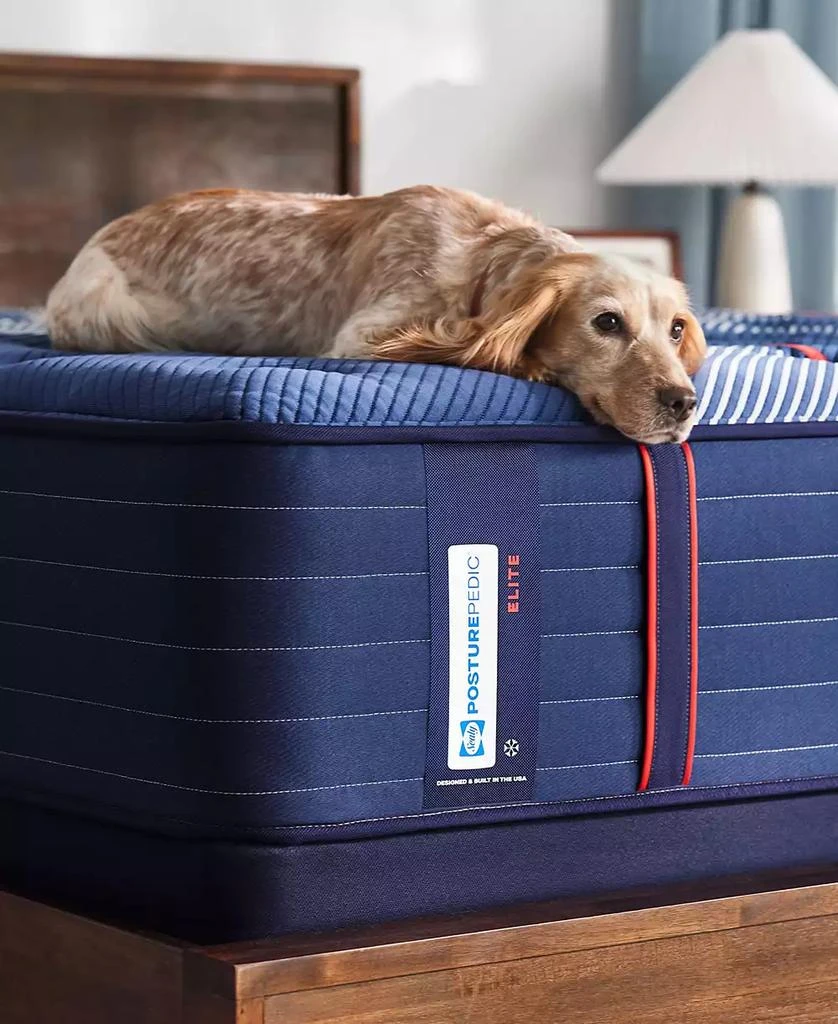 Sealy Posturepedic Elite Albany II 14" Firm Tight Top Mattress Set - 12