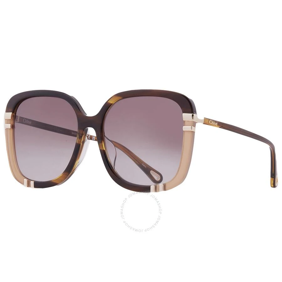 Chloé Brown Square Ladies Sunglasses CH0106SA 006 59 2