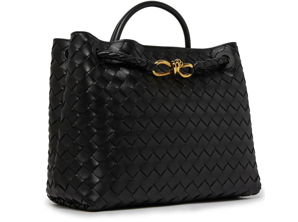 Bottega Veneta Andiamo medium bag 3