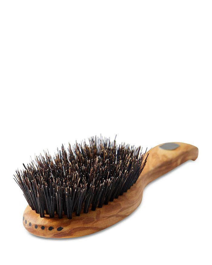 Altesse Studio Prestige Repair & Shine Brush - All Hair Types 6