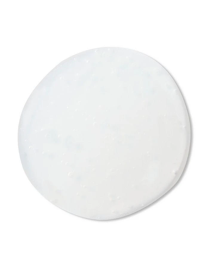 Christophe Robin Delicate Volumizing Shampoo 8.5 oz. 2