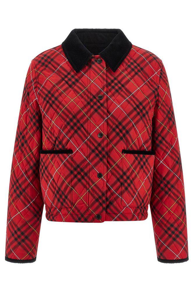 Shop EMBROIDERED POLYESTER BLEND BOMBER JACKET on Sale at