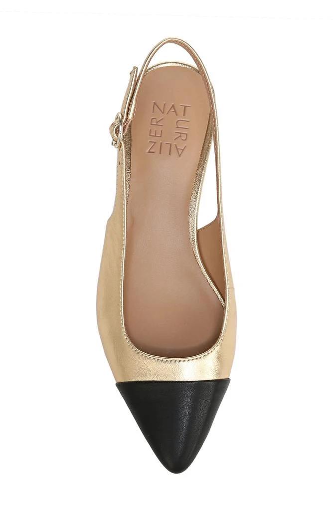 Naturalizer Banks Pointed Toe Slingback Pump 5