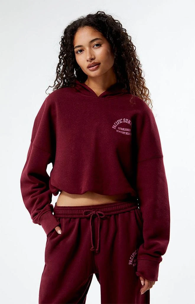 PacSun Pacific Sunwear Arch Bubble Cropped Hoodie 3