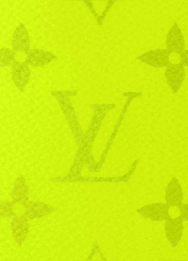 Louis Vuitton Duo Slingbag 6
