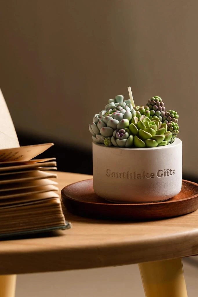 Southlake Gifts Southlake Gifts Assorted Succulent Candle 3