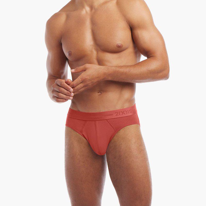 2(x)ist Dream | Low-Rise Brief Mineral Red