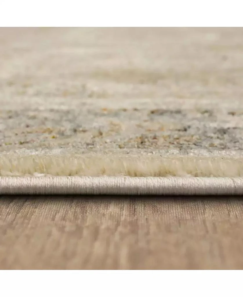 Karastan Divina Celestial 2
6" x 7
10" Runner Area Rug 3