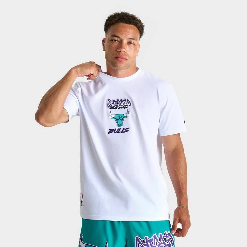 Pro Standard Men's Pro Standard Chicago Bulls Grape T-Shirt 1