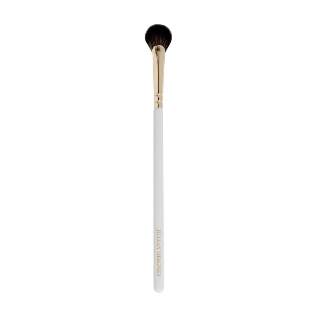 Jillian Dempsey Mini Fan Brush 1