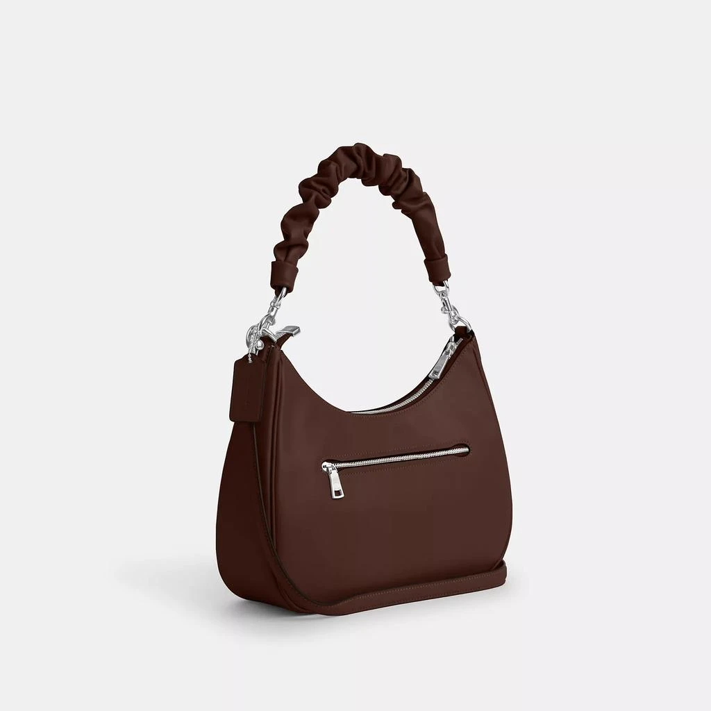 Coach Teri Hobo Bag 2