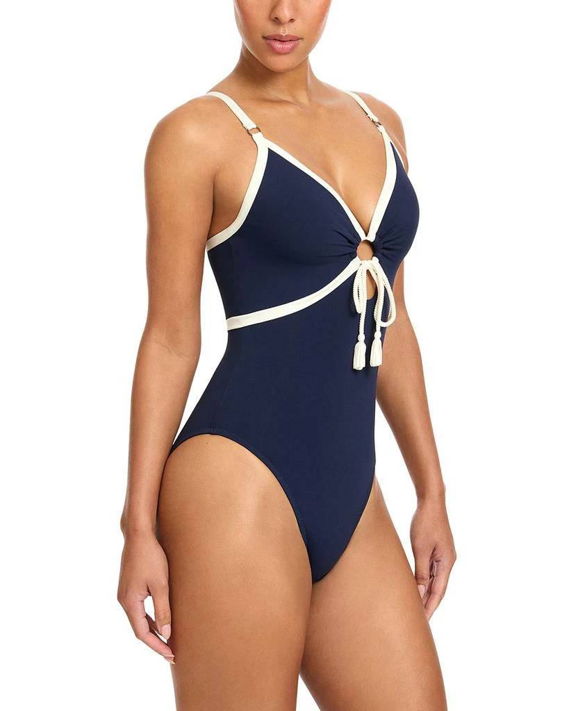Robin Piccone Tierna One Piece Swimsuit 3