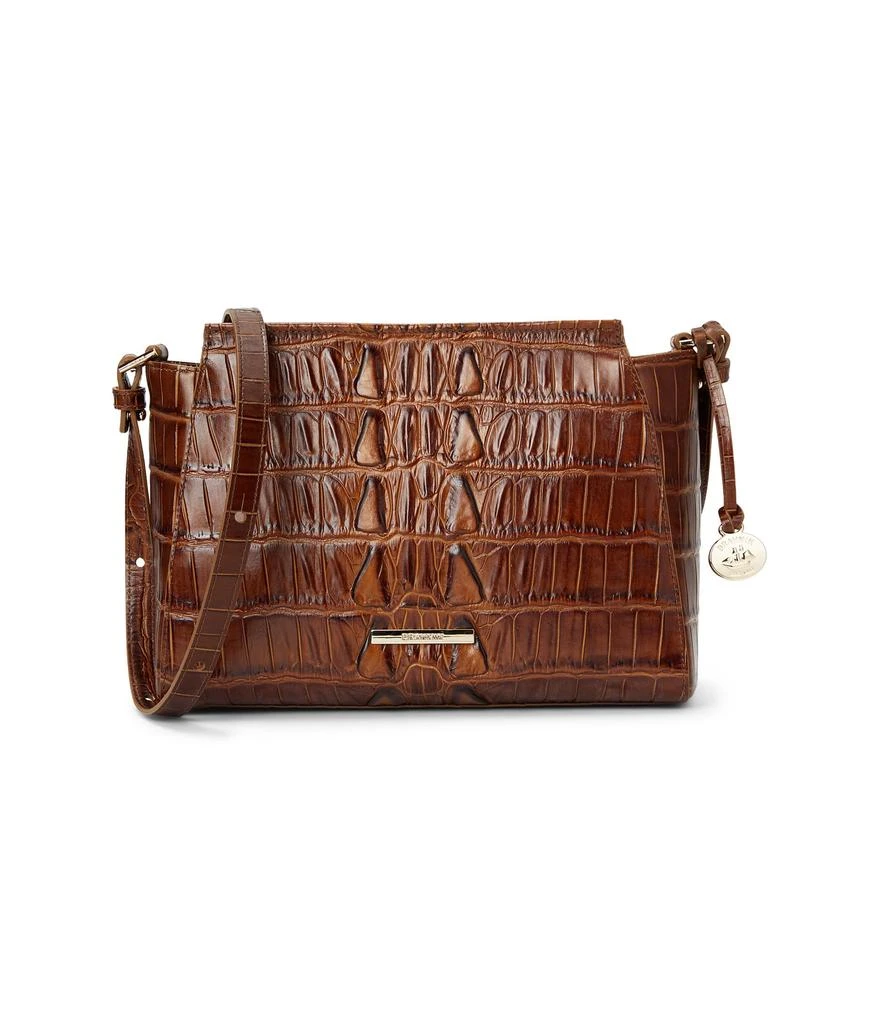 Brahmin Hillary 1