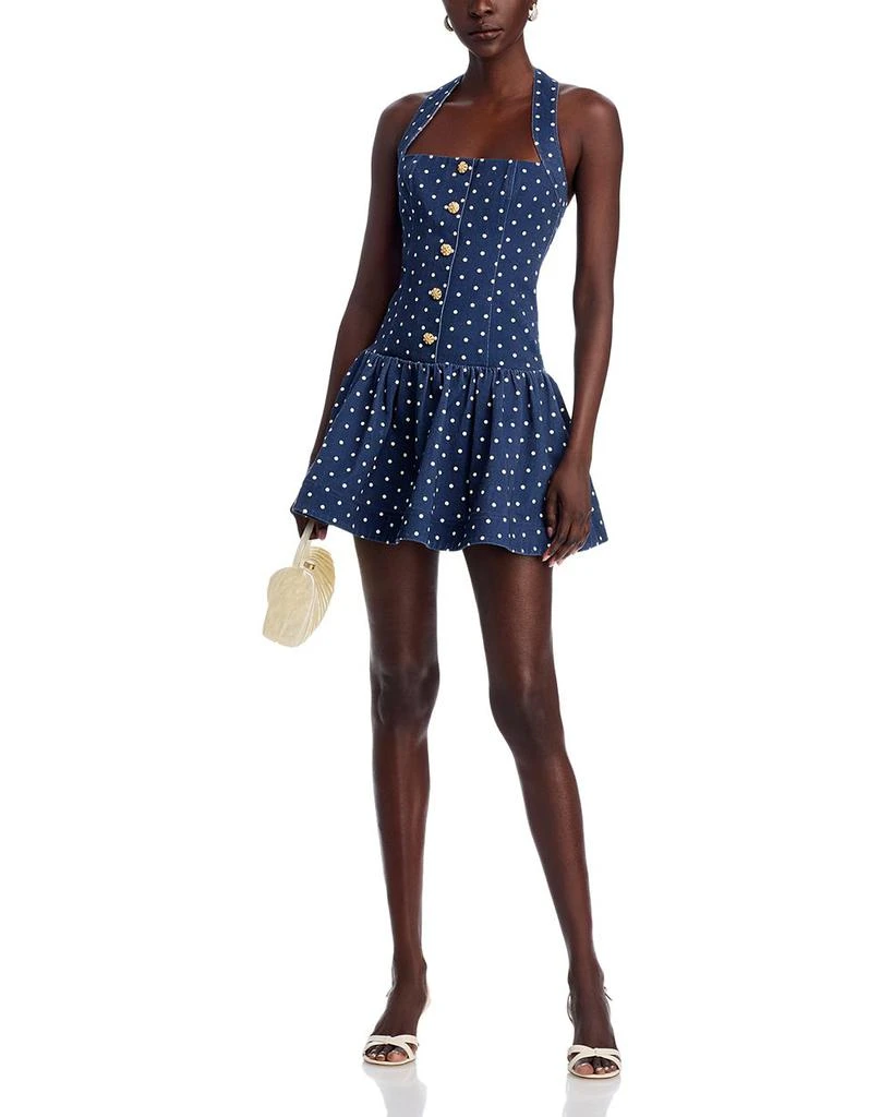 Cara Cara Felicity Mini Dress 3