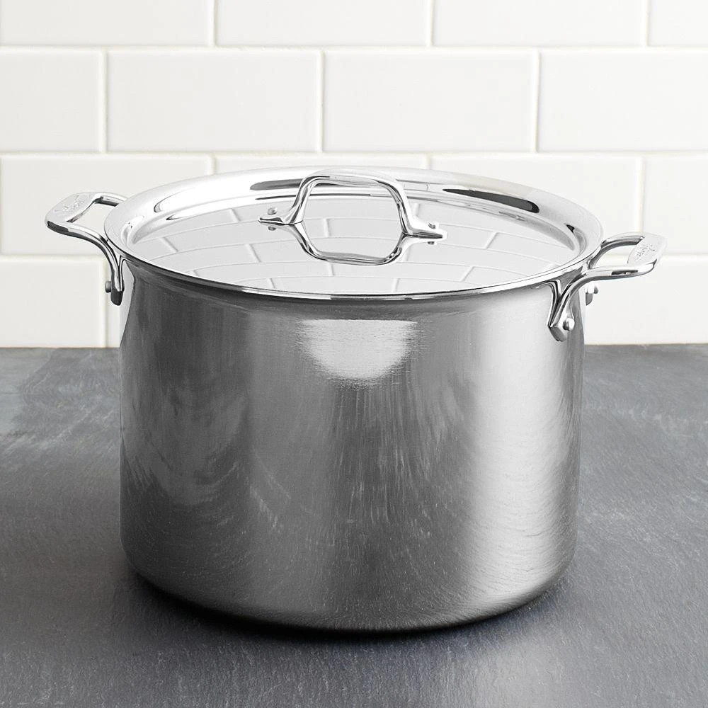 All-Clad Stainless Steel 12-Quart Stock Pot with Lid 2