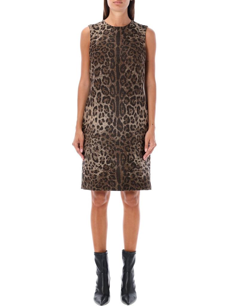Dolce & Gabbana Dolce & Gabbana Leopard Jacquard Midi Dress