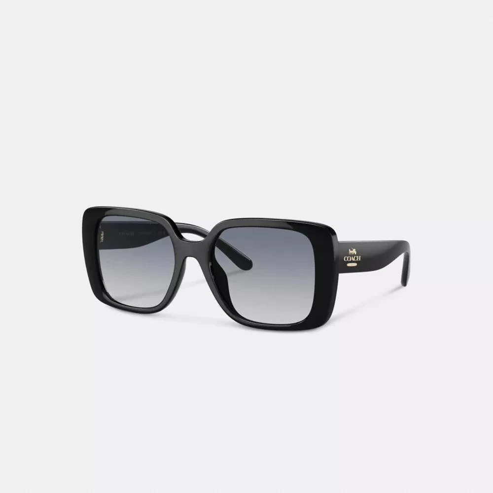 Coach Oversized Square Sunglasses 1