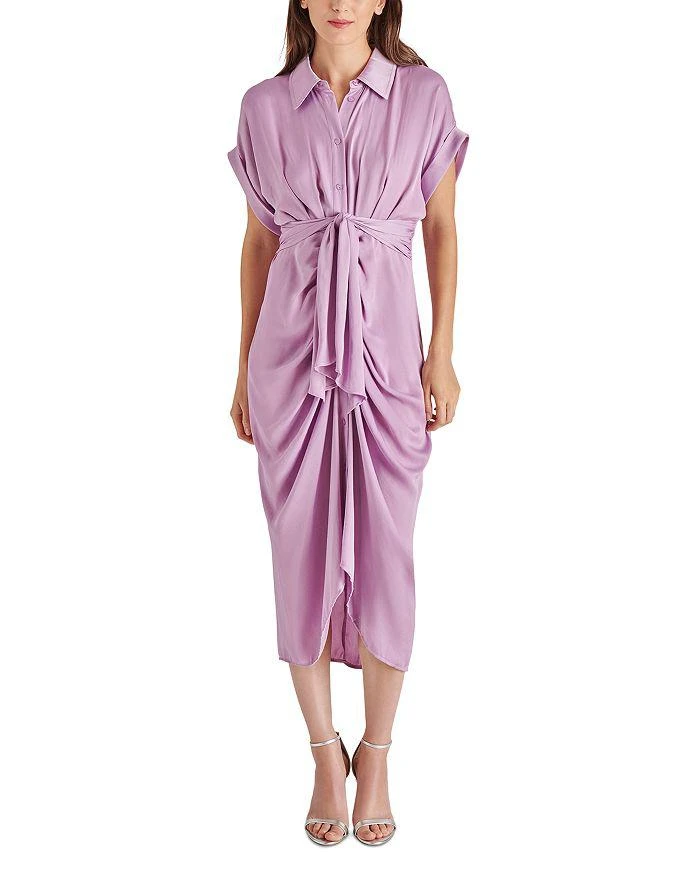 Steve Madden Tori Dress 1