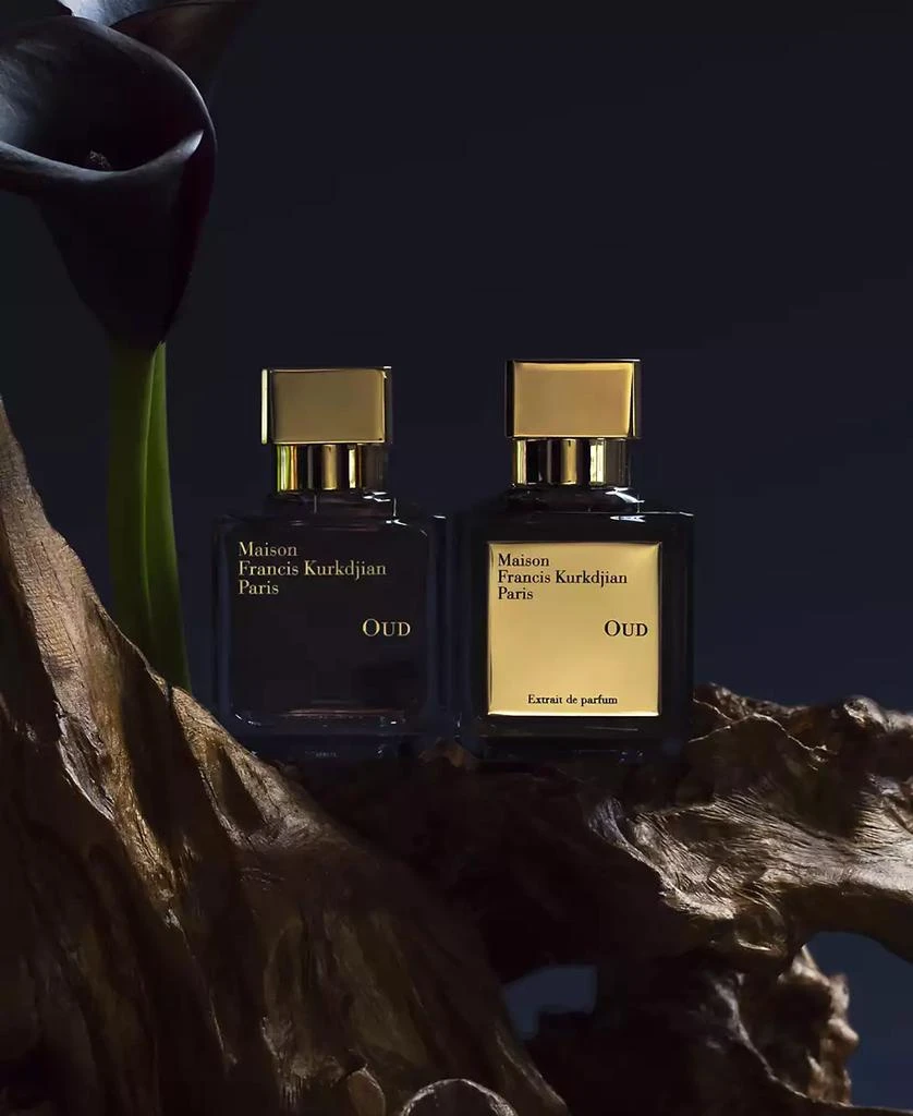 Maison Francis Kurkdjian OUD Extrait de Parfum Spray, 2.4 oz. 6