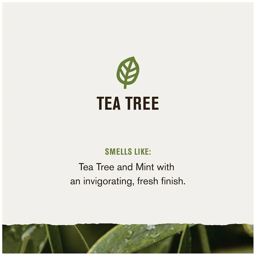 Every Man Jack Thickening Shampoo + Conditioner Tea Tree 5