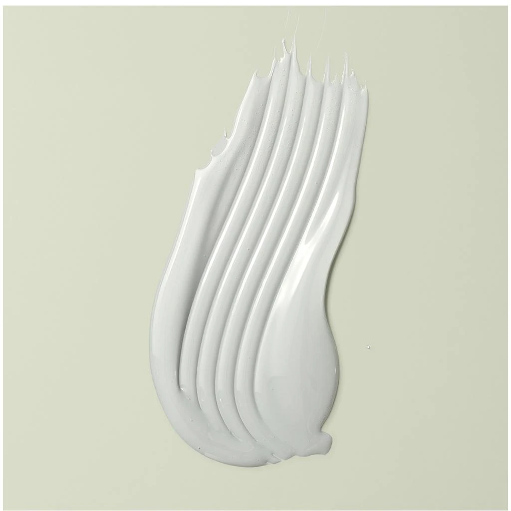 DevaCurl DevaCurl Scalp Puri 2